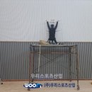 옥정중학교 이미지