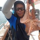 피쉬헌터 이미지