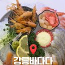 강릉바다다 | [강릉역 맛집] 강릉바다다 솔직 후기: 달달한 3종 모듬새우회와 총알 오징어통찜 안주 추천