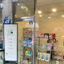 늘솔길애견미용실 이미지