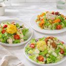 한끼든든 | [공지] >> 직장인 점심 샐러드 추천 팜에이트 한 끼 든든 샐러드 후기 <<