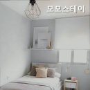모모스테이