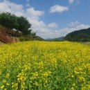 가평조종조종-3 이미지