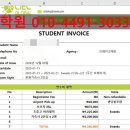 부산유학원 어학연수와 영어캠프 가족연수 조기유학 준비후기