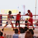 한일복싱 이미지