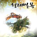 형제벌목 - 횡성군 | 형제벌목