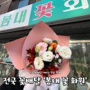 춘천상용 현대서비스 | 춘천 꽃다발, 화분 전문 꽃집ㅣ우두동 봄내화원 3만원 꽃다발 예약 후기