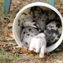 아이풋네일 이미지