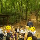 청담숲유치원 이미지