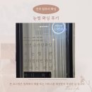 23 | 25-23 🌿 진주 얼루어 왁싱 ✨ 디자인 눈썹왁싱 솔직 후기
