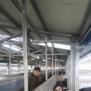 두타산농장