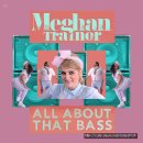 Meghan Trainor-All About That Bass (2014) 이미지