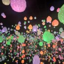 아르떼뮤지엄 이미지