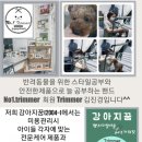 연수중앙초등학교 내 이미지