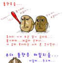 불량 커피콩(결점두)의 종류에는 무엇이 있을까? 이미지