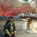 비원 - 의정부시 | 비원