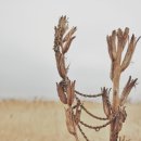 하이웨이정비 이미지