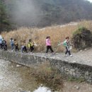 대전숲어린이집 이미지