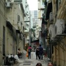 황후 캣 이미지