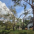 탄허기념박물관 | 수서역 한정식 단미그린비 평일점심특선 자곡동 교수마을 상견례 명소