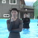 키헤어 이미지