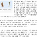 모기 유충 먹는 '천적 곤충' 찾았다 이미지