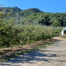 마현농장 이미지