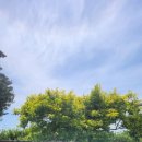 아후이호우 이미지