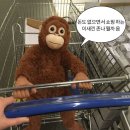 베스티브 이미지