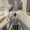 브룩스펜션 | &lt;내돈내산&gt;1박2일 가평여행/가평 카라반여행/가평 브룩스펜션 카라반 추천