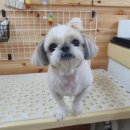 이쁘개(내포신도시점) 이미지