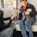 춘옥이네 이미지