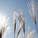 문암농장 이미지