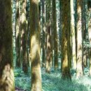 절물생태관리소 (절물자연휴양림) 이미지