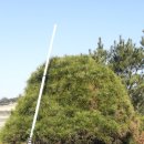 낭산농장 이미지