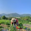 슬로우팜체험펜션 이미지