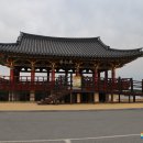 고래불해수욕장(병곡지구) 야영장 이미지