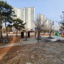 하늘빛 어린이공원 앞 횡단보도 네이버블로그