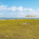 삽교호관광지 이미지