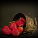 비타민모텔 이미지