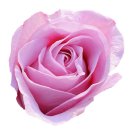 야훼이레 이미지