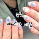 예그리다 이미지