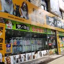 펫마트명장점 | [일상]부산 동래구 명장동 펫마트 강아지 애완동물 애완견 장난감 노즈워크담요 사용후기
