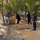 청운공원 농구장 이미지