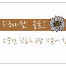 하이초도 이미지