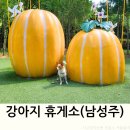 남성주 | 남성주 참외 휴게소 애견동반 강아지 산책로 후기
