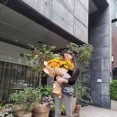 박지연 카카오 검색결과