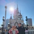 더 세프월드 앞 | 롯데월드내부맛집 수제햄버거 롯데월드버거베어 솔직 후기