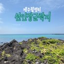 한림읍 월령리마을 | 제주 월령리 선인장 군락지 마을 주차 애견동반