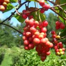 여울농장1 이미지